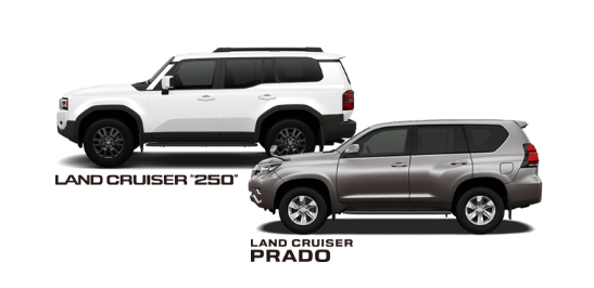 LAND CRUISER <br>( 5 or 7 seats random )